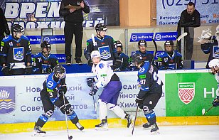 Betera-Высшая лига: Нефтехимик vs Медведи